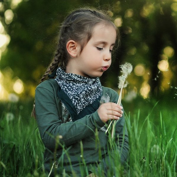 child, dandelion, blow-1347388.jpg