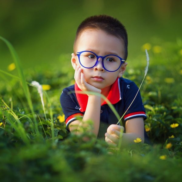 kid, boy, field-1508121.jpg